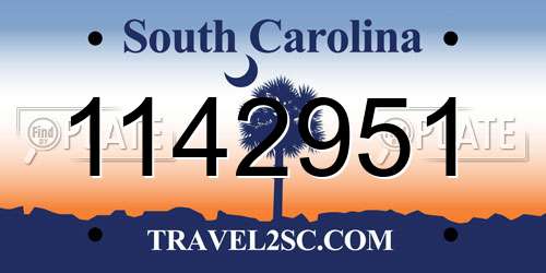 1142951 South Carolina License Plate
