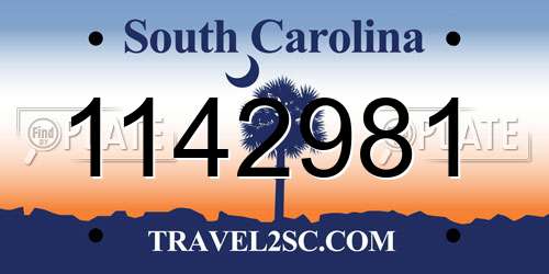 1142981 South Carolina License Plate