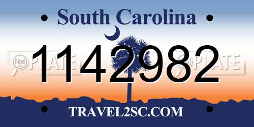 1142982 South Carolina License Plate