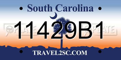 11429B1 South Carolina License Plate