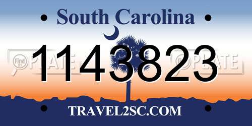 1143823 South Carolina License Plate