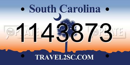 1143873 South Carolina License Plate