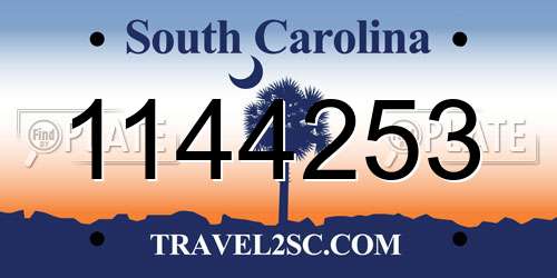 1144253 South Carolina License Plate