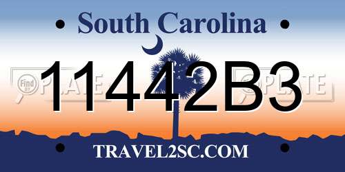 11442B3 South Carolina License Plate