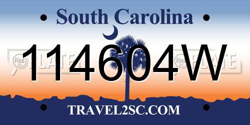 114604W South Carolina License Plate