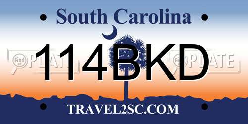 114BKD South Carolina License Plate