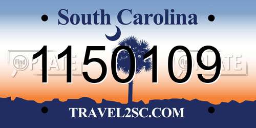 1150109 South Carolina License Plate