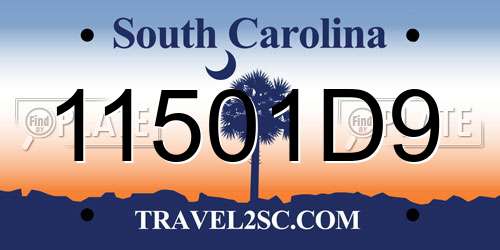 11501D9 South Carolina License Plate