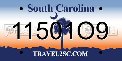 11501O9 South Carolina License Plate