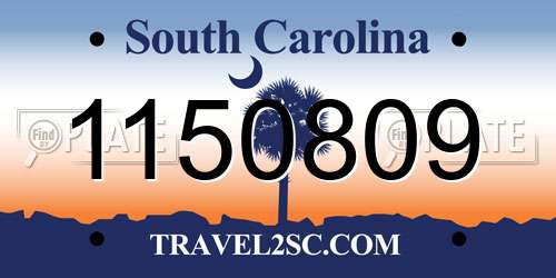 1150809 South Carolina License Plate