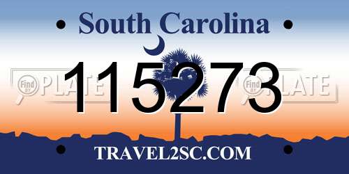115273 South Carolina License Plate