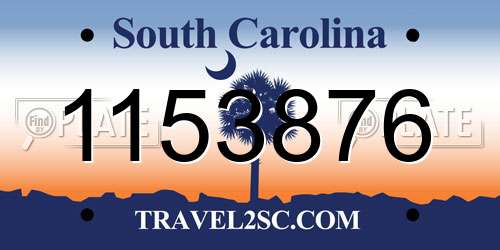 1153876 South Carolina License Plate