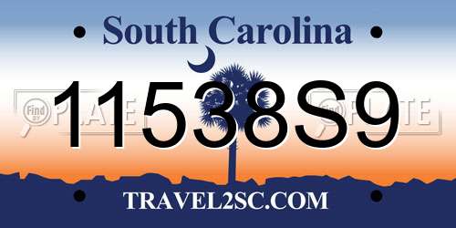 11538S9 South Carolina License Plate