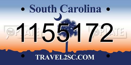 1155172 South Carolina License Plate