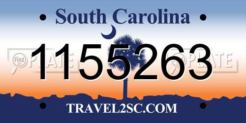 1155263 South Carolina License Plate