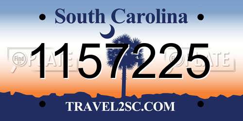 1157225 South Carolina License Plate