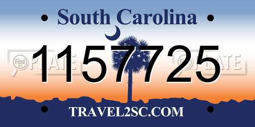 1157725 South Carolina License Plate