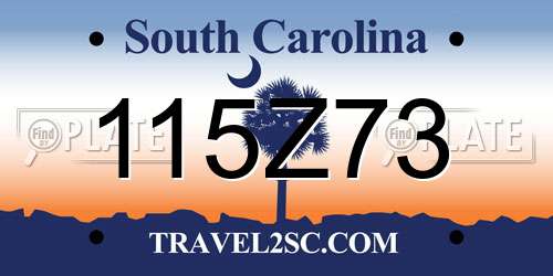 115Z73 South Carolina License Plate