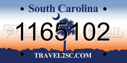 1165102 South Carolina License Plate