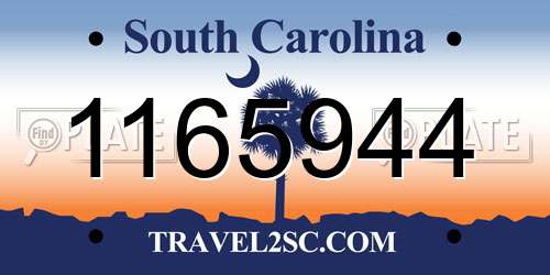 1165944 South Carolina License Plate
