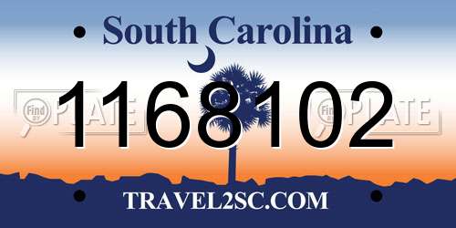 1168102 South Carolina License Plate