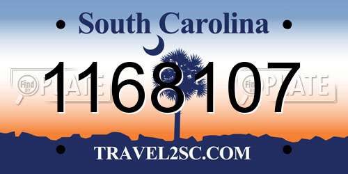 1168107 South Carolina License Plate