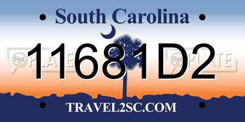 11681D2 South Carolina License Plate