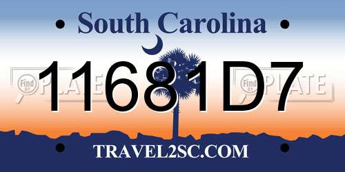 11681D7 South Carolina License Plate