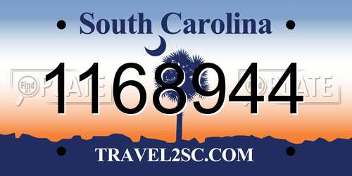 1168944 South Carolina License Plate