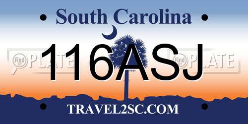 116ASJ South Carolina License Plate
