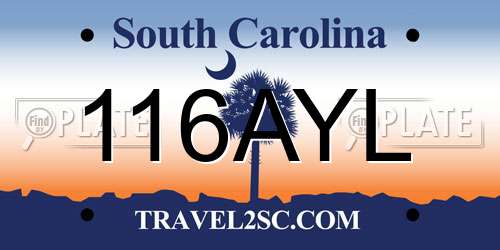 116AYL South Carolina License Plate