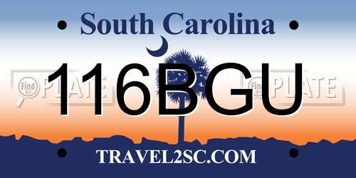 116BGU South Carolina License Plate