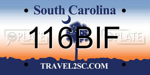 116BIF South Carolina License Plate