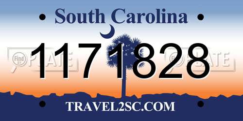 1171828 South Carolina License Plate