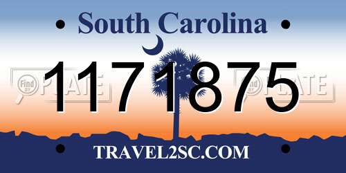 1171875 South Carolina License Plate