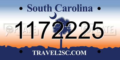 1172225 South Carolina License Plate