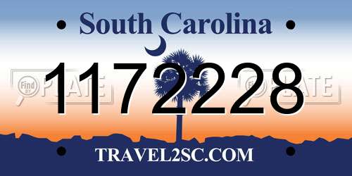 1172228 South Carolina License Plate