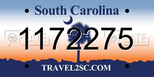 1172275 South Carolina License Plate