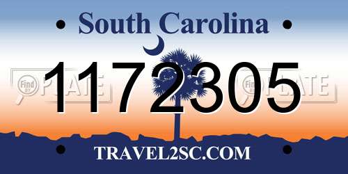 1172305 South Carolina License Plate