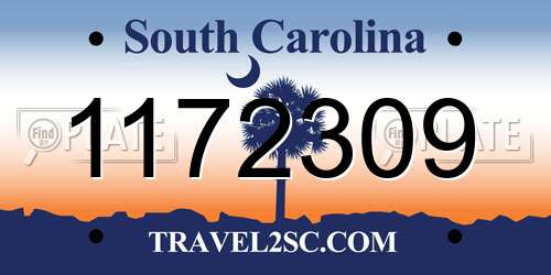 1172309 South Carolina License Plate