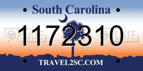 1172310 South Carolina License Plate