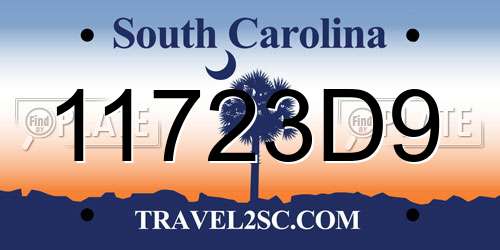 11723D9 South Carolina License Plate