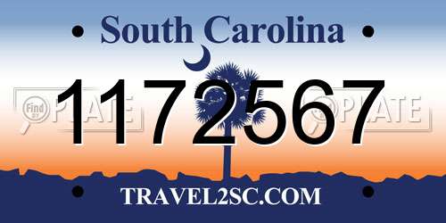 1172567 South Carolina License Plate
