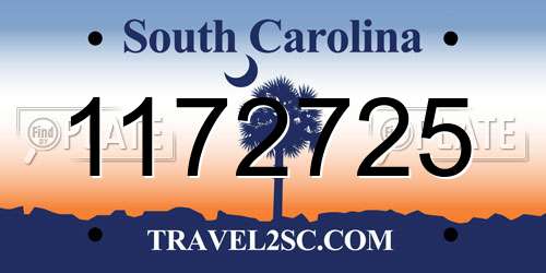 1172725 South Carolina License Plate