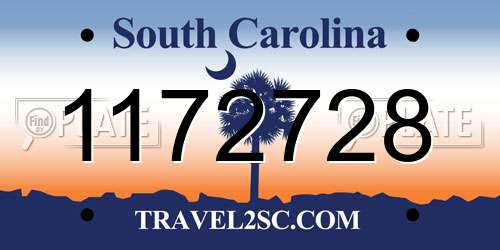 1172728 South Carolina License Plate