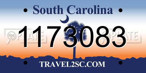 1173083 South Carolina License Plate