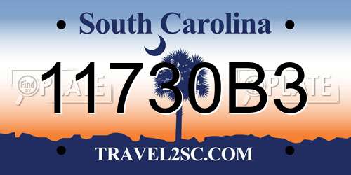 11730B3 South Carolina License Plate