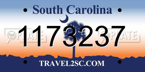 1173237 South Carolina License Plate