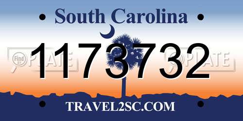 1173732 South Carolina License Plate