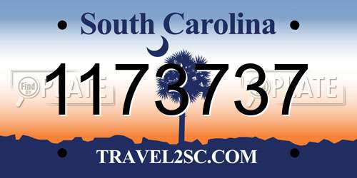 1173737 South Carolina License Plate